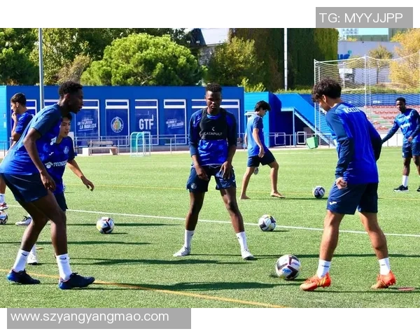 坎塞洛的足球之路：从青训崭露头角到世界舞台的闪耀时刻