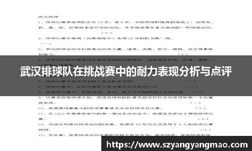 武汉排球队在挑战赛中的耐力表现分析与点评
