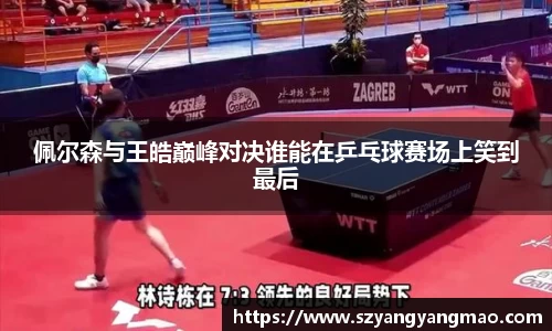 佩尔森与王皓巅峰对决谁能在乒乓球赛场上笑到最后