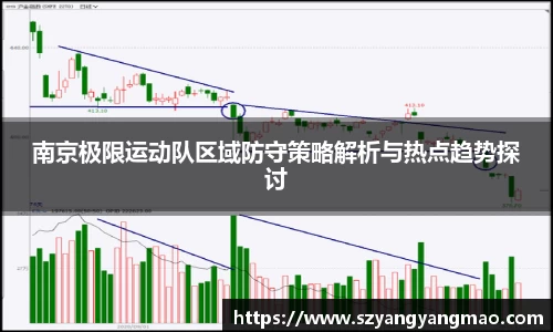 南京极限运动队区域防守策略解析与热点趋势探讨